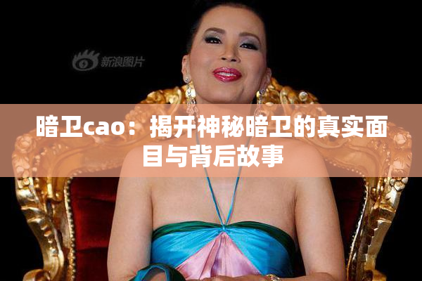 暗卫cao：揭开神秘暗卫的真实面目与背后故事