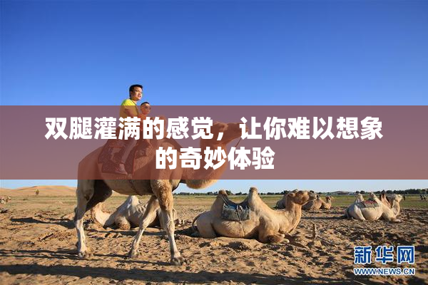 双腿灌满的感觉，让你难以想象的奇妙体验