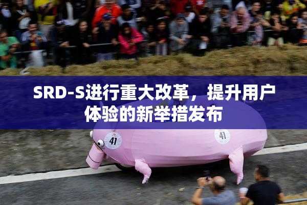 SRD-S进行重大改革，提升用户体验的新举措发布