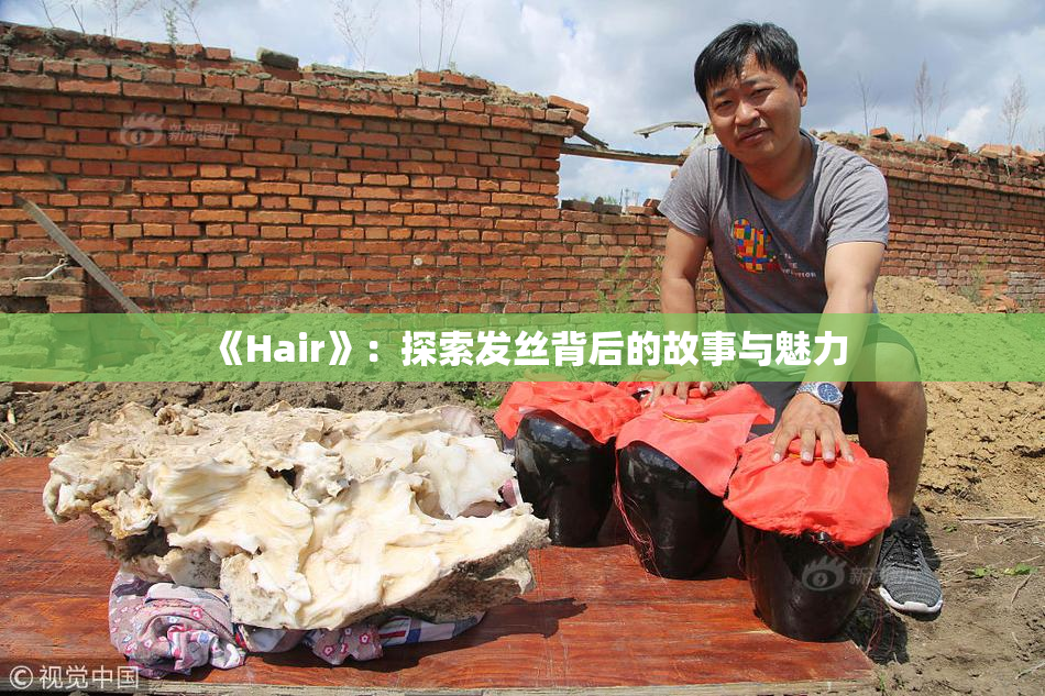 《Hair》：探索发丝背后的故事与魅力