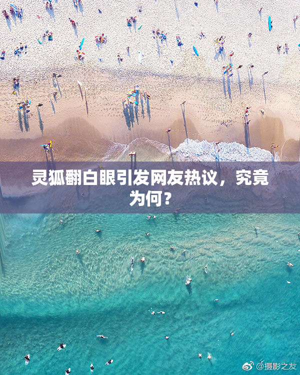 灵狐翻白眼引发网友热议，究竟为何？