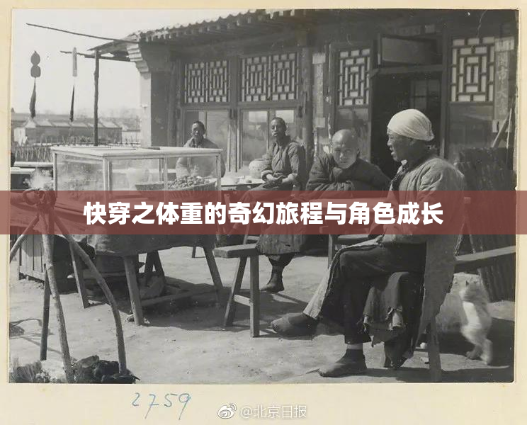 快穿之体重的奇幻旅程与角色成长