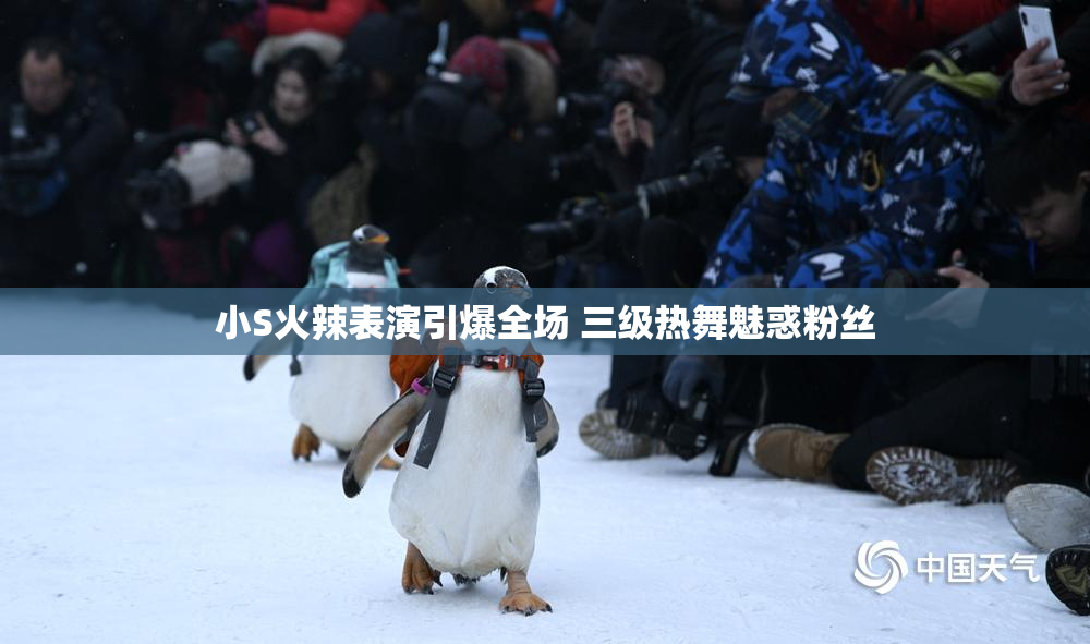 小S火辣表演引爆全场 三级热舞魅惑粉丝
