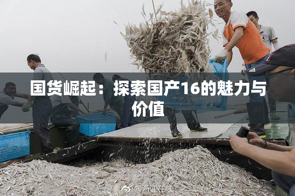 国货崛起：探索国产16的魅力与价值