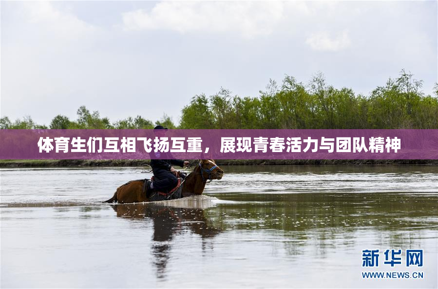 体育生们互相飞扬互重，展现青春活力与团队精神