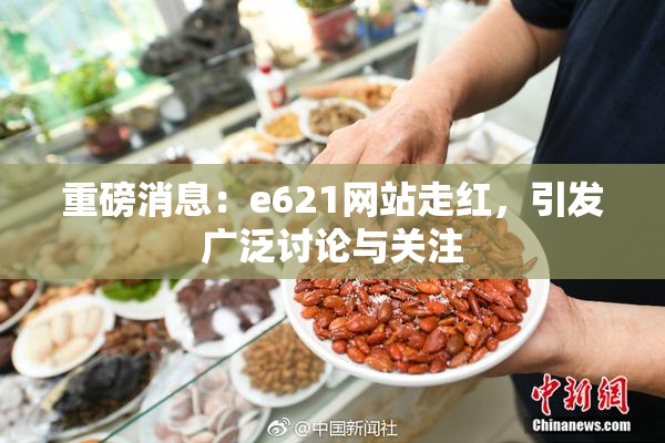重磅消息：e621网站走红，引发广泛讨论与关注