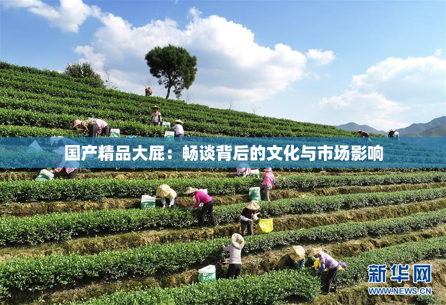 国产精品大屁：畅谈背后的文化与市场影响