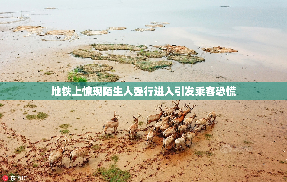 地铁上惊现陌生人强行进入引发乘客恐慌