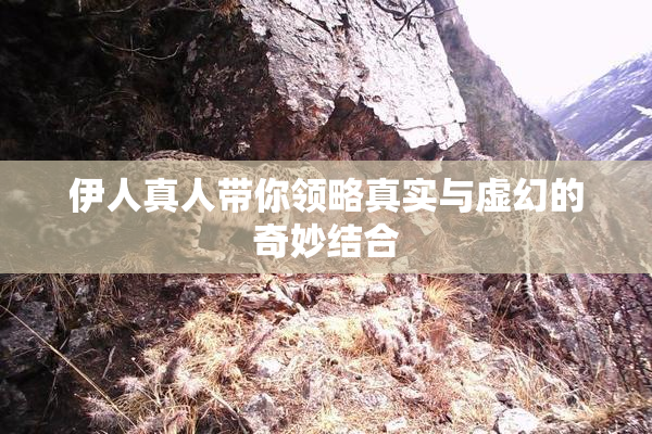 伊人真人带你领略真实与虚幻的奇妙结合
