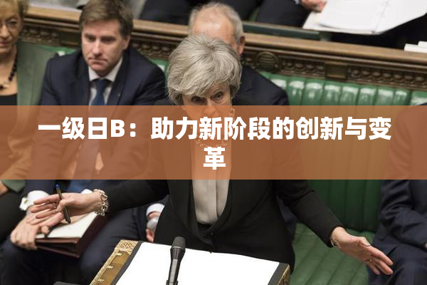 一级日B：助力新阶段的创新与变革