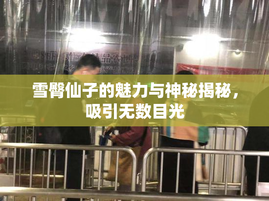 雪臀仙子的魅力与神秘揭秘，吸引无数目光