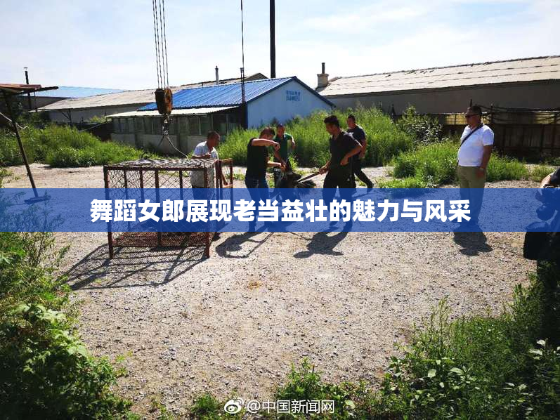 舞蹈女郎展现老当益壮的魅力与风采
