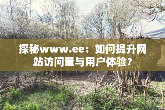 探秘www.ee：如何提升网站访问量与用户体验？