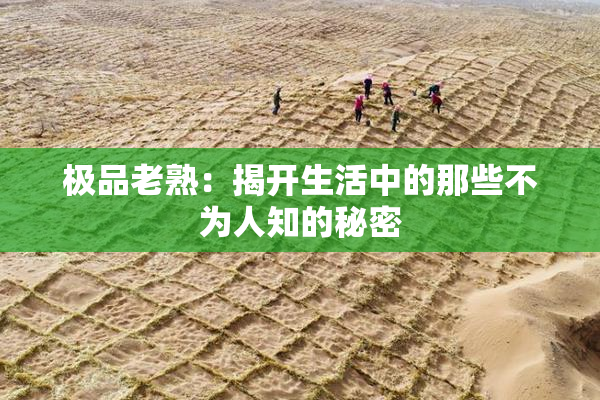 极品老熟：揭开生活中的那些不为人知的秘密