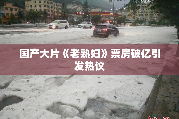 国产大片《老熟妇》票房破亿引发热议