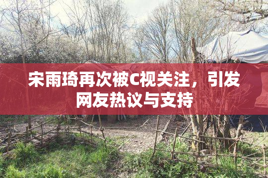 宋雨琦再次被C视关注，引发网友热议与支持