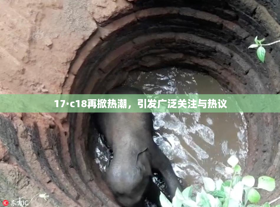 17·c18再掀热潮，引发广泛关注与热议
