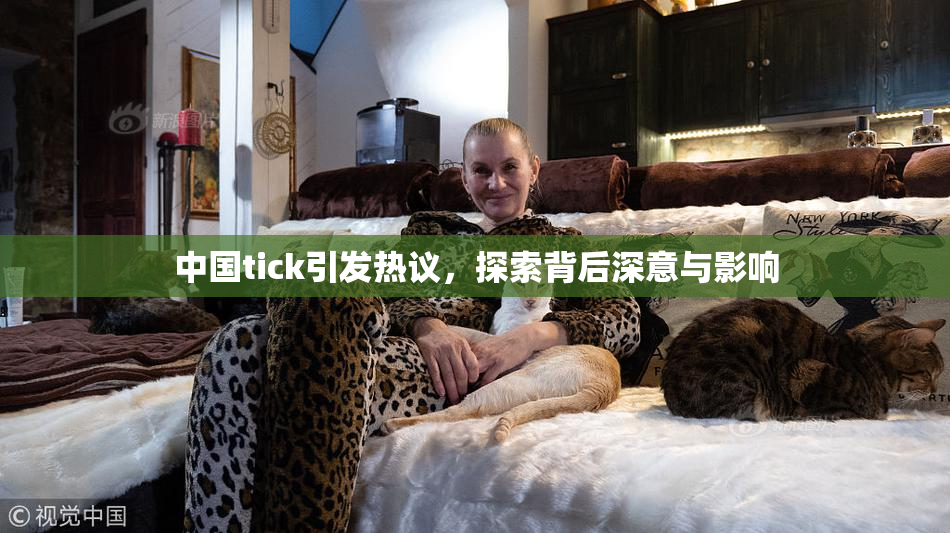 中国tick引发热议，探索背后深意与影响