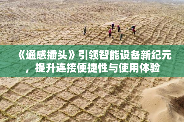 《通感插头》引领智能设备新纪元，提升连接便捷性与使用体验