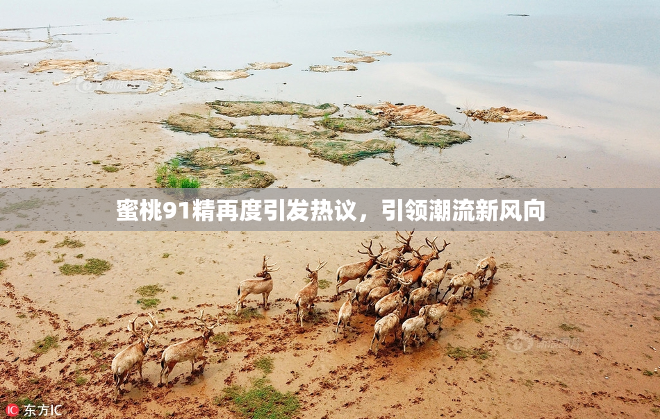 蜜桃91精再度引发热议，引领潮流新风向