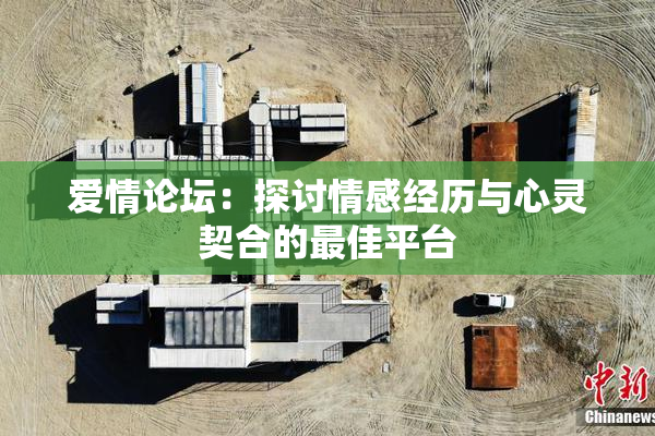 爱情论坛：探讨情感经历与心灵契合的最佳平台