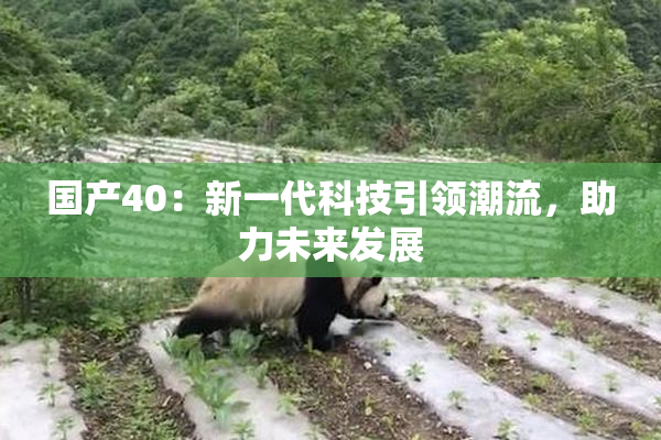 国产40：新一代科技引领潮流，助力未来发展