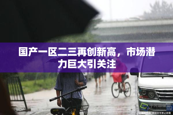 国产一区二三再创新高，市场潜力巨大引关注