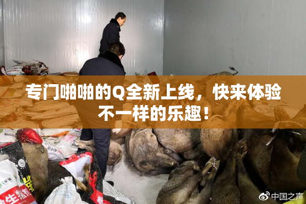 专门啪啪的Q全新上线，快来体验不一样的乐趣！
