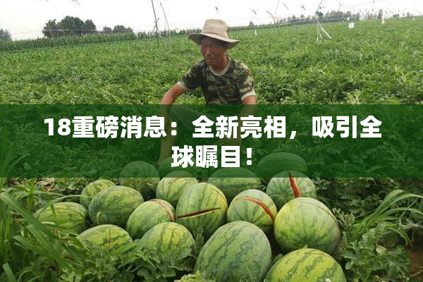 18重磅消息：全新亮相，吸引全球瞩目！