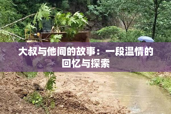大叔与他间的故事：一段温情的回忆与探索