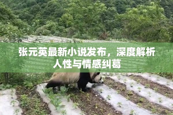 张元英最新小说发布，深度解析人性与情感纠葛