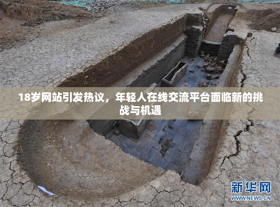 18岁网站引发热议，年轻人在线交流平台面临新的挑战与机遇