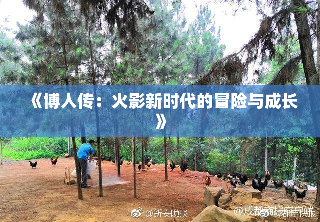 《博人传：火影新时代的冒险与成长》