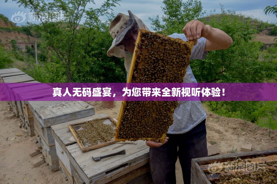 真人无码盛宴，为您带来全新视听体验！