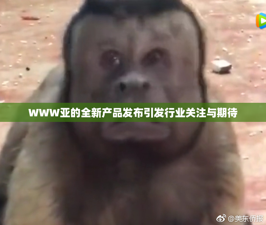 WWW亚的全新产品发布引发行业关注与期待
