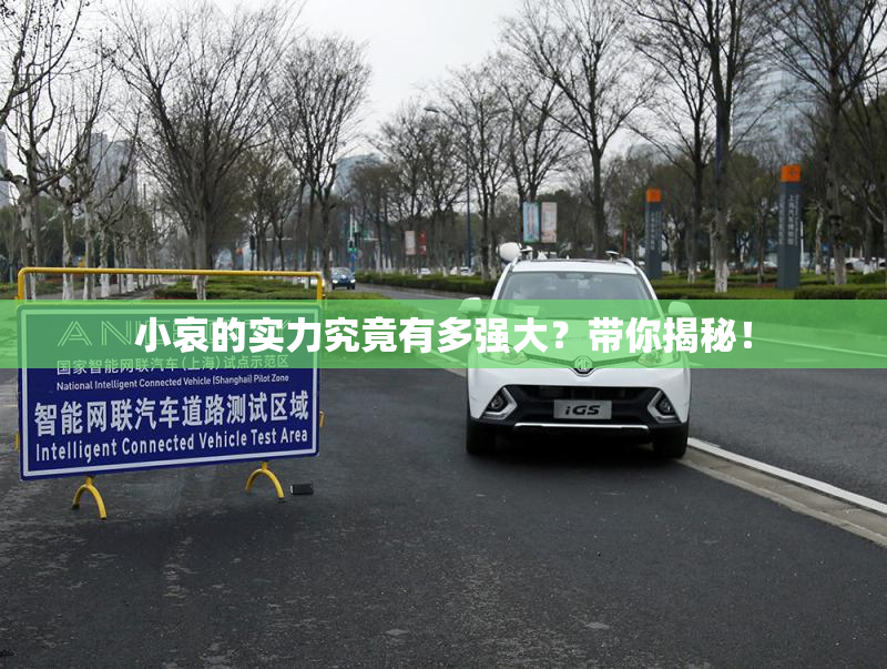 小哀的实力究竟有多强大？带你揭秘！