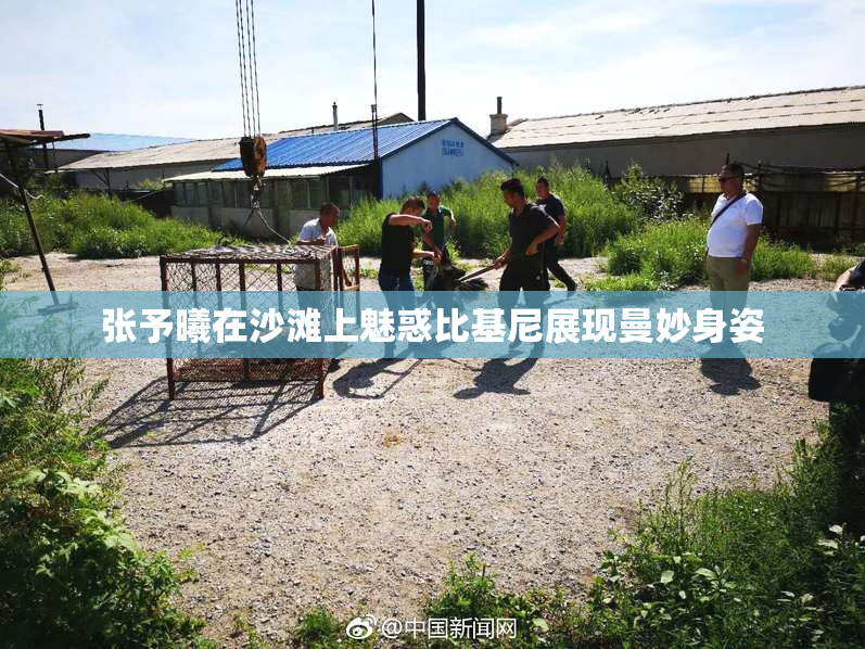 张予曦在沙滩上魅惑比基尼展现曼妙身姿