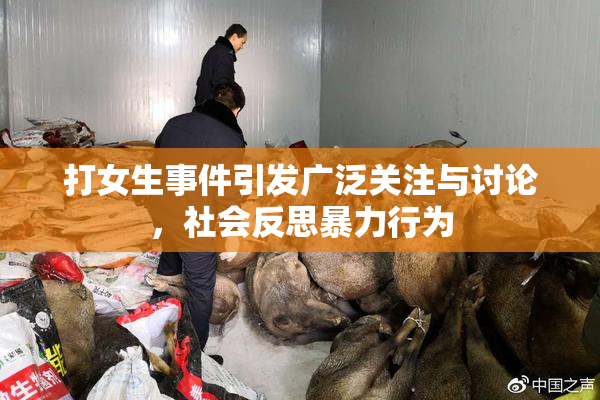 打女生事件引发广泛关注与讨论，社会反思暴力行为