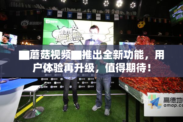 ▇蘑菇视频▇推出全新功能，用户体验再升级，值得期待！