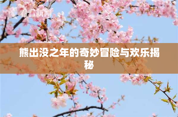 熊出没之年的奇妙冒险与欢乐揭秘