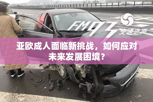 亚欧成人面临新挑战，如何应对未来发展困境？