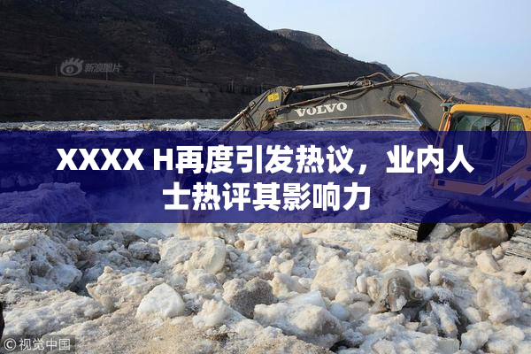 XXXX H再度引发热议，业内人士热评其影响力