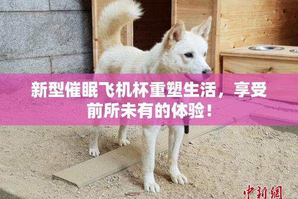新型催眠飞机杯重塑生活，享受前所未有的体验！