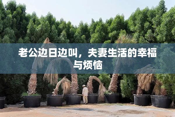 老公边日边叫，夫妻生活的幸福与烦恼