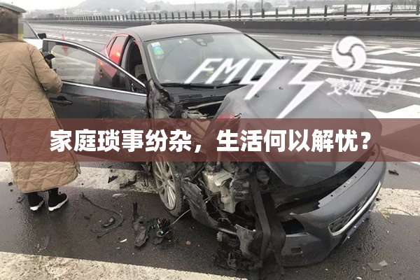家庭琐事纷杂，生活何以解忧？