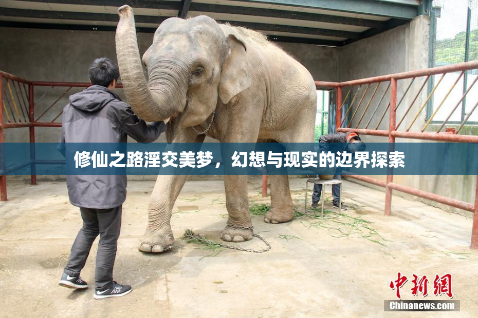 修仙之路淫交美梦，幻想与现实的边界探索