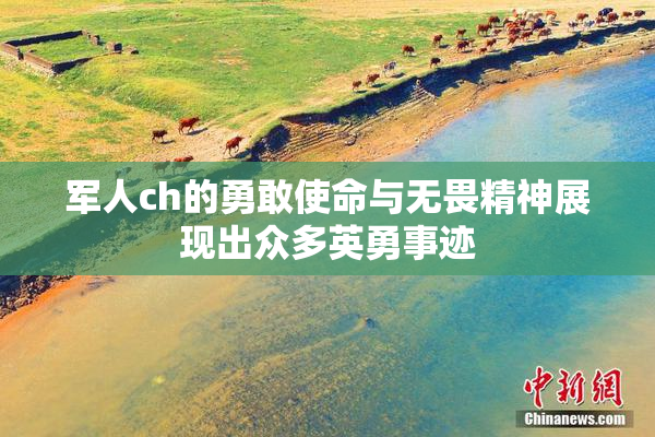 军人ch的勇敢使命与无畏精神展现出众多英勇事迹