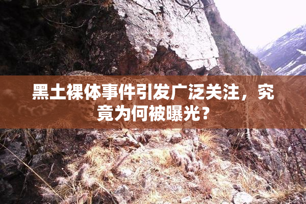 黑土裸体事件引发广泛关注，究竟为何被曝光？