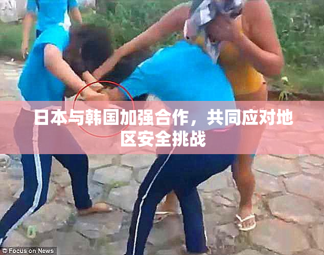 日本与韩国加强合作，共同应对地区安全挑战