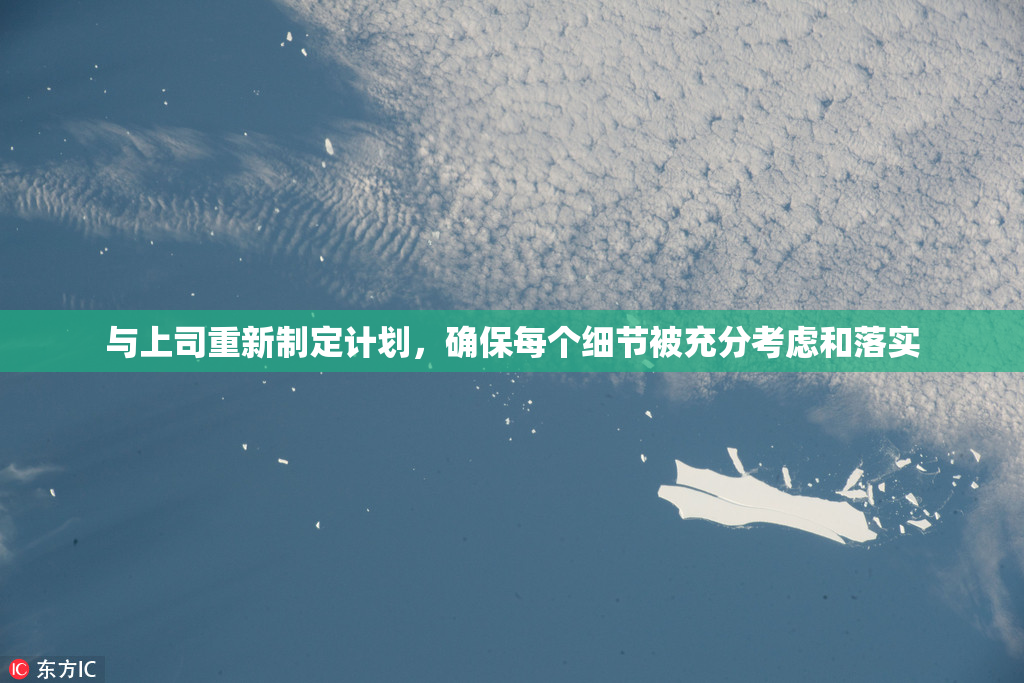 与上司重新制定计划，确保每个细节被充分考虑和落实